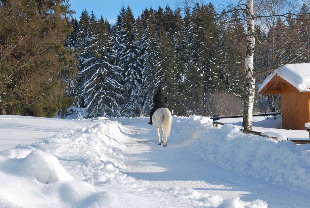 Ruheoase Am Forggensee รีเดิน ภายนอก รูปภาพ